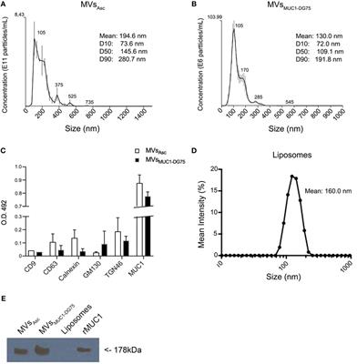 Tumor-Derived Microvesicles Modulate Antigen Cross-Processing via Reactive Oxygen Species-Mediated Alkalinization of Phagosomal Compartment in Dendritic Cells